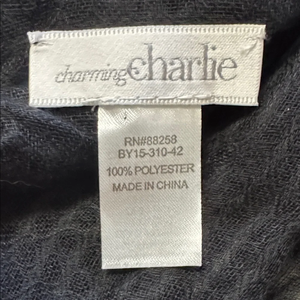 Charming Charlie Black Sheer Scarf